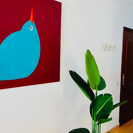 Apartamento Brisa Del Mar Fuerteventura Puerto del Rosario (Fuerteventura)